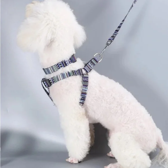 NEW Blue Pattern Dog Collar…size Small !!! - Picture 2 of 4